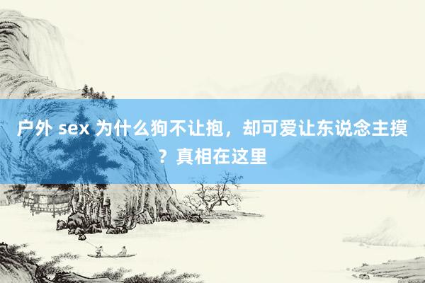 户外 sex 为什么狗不让抱，却可爱让东说念主摸？真相在这里