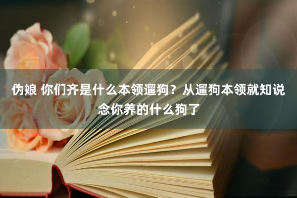 伪娘 你们齐是什么本领遛狗？从遛狗本领就知说念你养的什么狗了