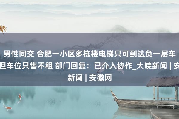 男性同交 合肥一小区多栋楼电梯只可到达负一层车库，但车位只售不租 部门回复：已介入协作_大皖新闻 | 安徽网