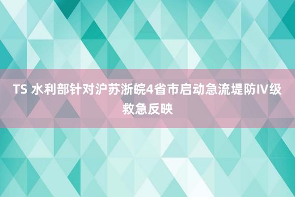 TS 水利部针对沪苏浙皖4省市启动急流堤防Ⅳ级救急反映