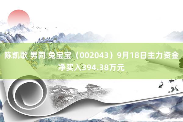 陈凯歌 男同 兔宝宝（002043）9月18日主力资金净买入394.38万元