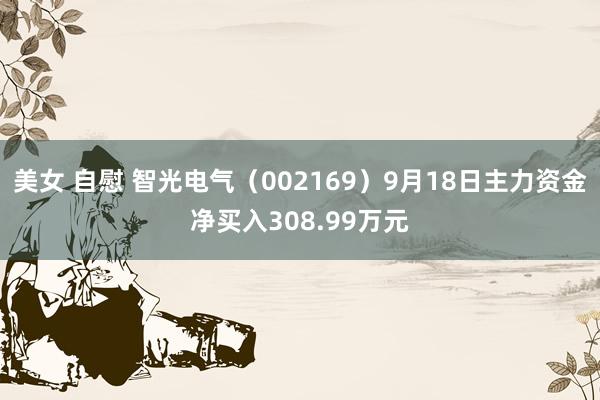 美女 自慰 智光电气（002169）9月18日主力资金净买入308.99万元