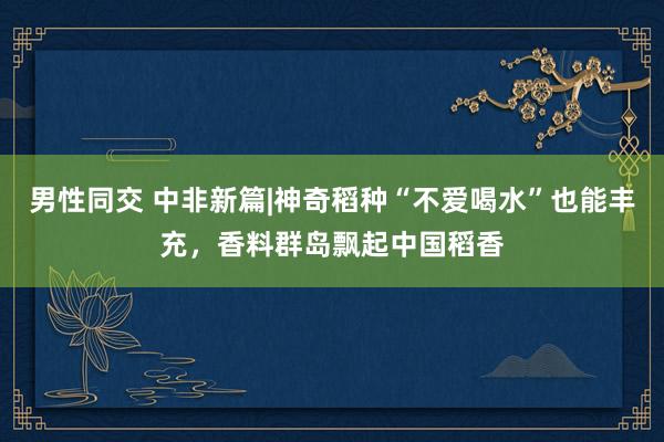 男性同交 中非新篇|神奇稻种“不爱喝水”也能丰充，香料群岛飘起中国稻香