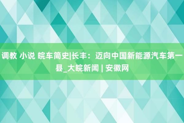 调教 小说 皖车简史|长丰：迈向中国新能源汽车第一县_大皖新闻 | 安徽网