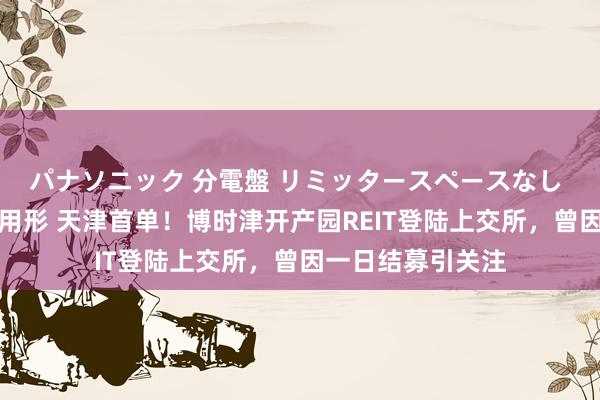 パナソニック 分電盤 リミッタースペースなし 露出・半埋込両用形 天津首单！博时津开产园REIT登陆上交所，曾因一日结募引关注