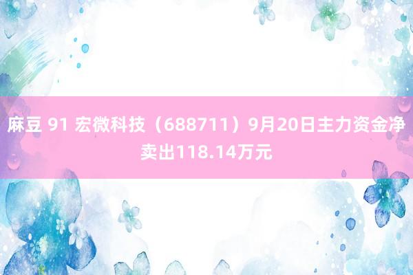 麻豆 91 宏微科技（688711）9月20日主力资金净卖出118.14万元