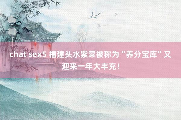 chat sex5 福建头水紫菜被称为“养分宝库”又迎来一年大丰充！