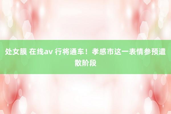 处女膜 在线av 行将通车！孝感市这一表情参预遣散阶段