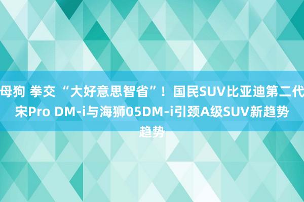 母狗 拳交 “大好意思智省”！国民SUV比亚迪第二代宋Pro DM-i与海狮05DM-i引颈A级SUV新趋势