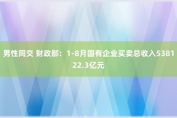 男性同交 财政部：1-8月国有企业买卖总收入538122.3亿元