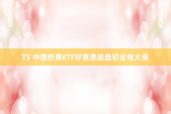 TS 中国钞票ETF好意思股盘初全线大涨