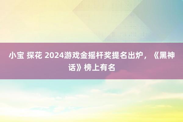 小宝 探花 2024游戏金摇杆奖提名出炉，《黑神话》榜上有名