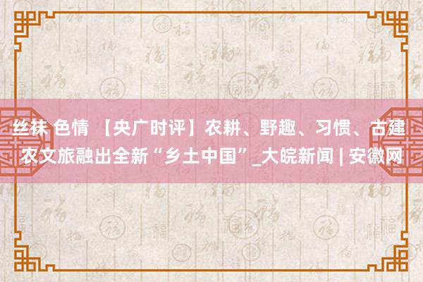 丝袜 色情 【央广时评】农耕、野趣、习惯、古建 农文旅融出全新“乡土中国”_大皖新闻 | 安徽网