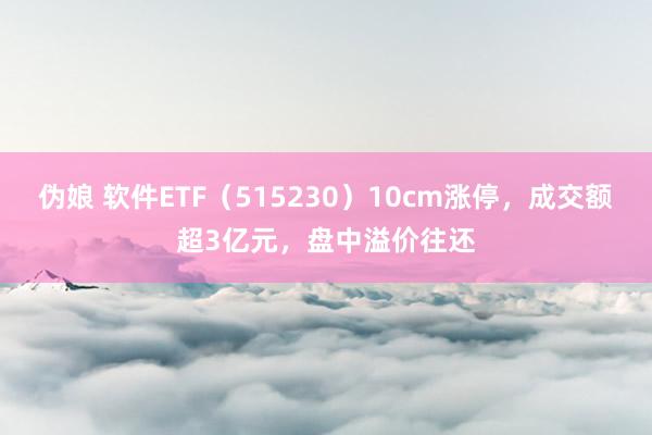 伪娘 软件ETF（515230）10cm涨停，成交额超3亿元，盘中溢价往还