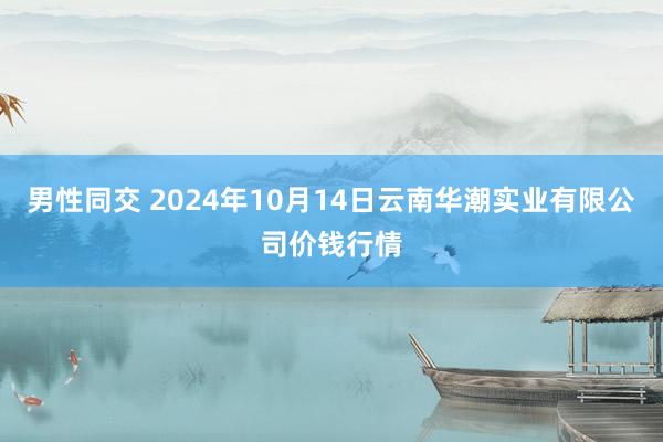 男性同交 2024年10月14日云南华潮实业有限公司价钱行情