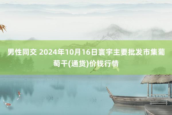 男性同交 2024年10月16日寰宇主要批发市集葡萄干(通货)价钱行情