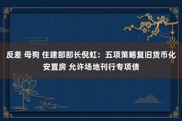 反差 母狗 住建部部长倪虹：五项策略复旧货币化安置房 允许场地刊行专项债