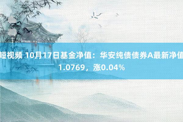 短视频 10月17日基金净值：华安纯债债券A最新净值1.0769，涨0.04%