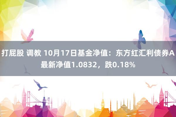 打屁股 调教 10月17日基金净值：东方红汇利债券A最新净值1.0832，跌0.18%