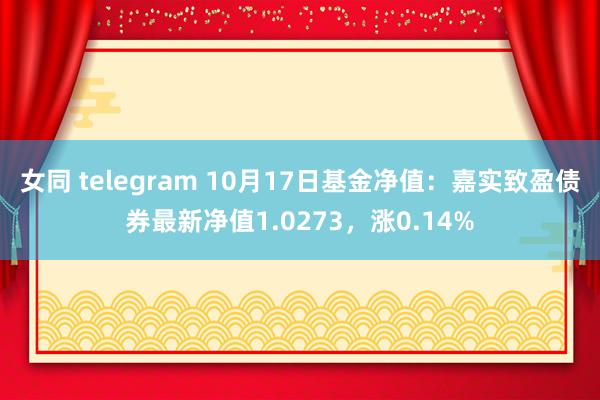 女同 telegram 10月17日基金净值：嘉实致盈债券最新净值1.0273，涨0.14%