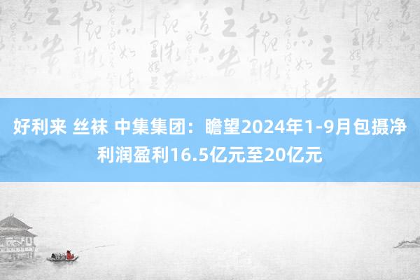 好利来 丝袜 中集集团：瞻望2024年1-9月包摄净利润盈利16.5亿元至20亿元