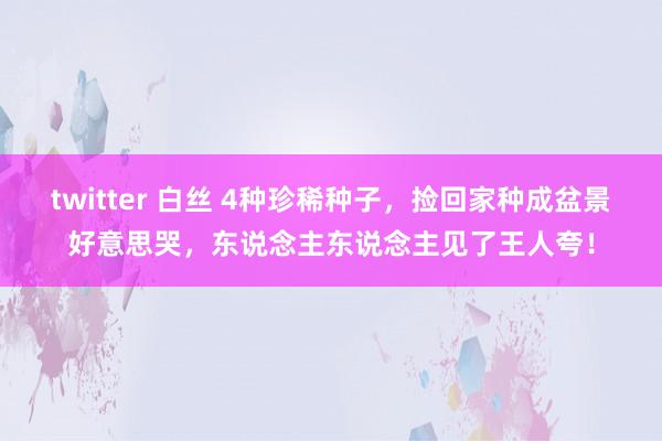 twitter 白丝 4种珍稀种子，捡回家种成盆景好意思哭，东说念主东说念主见了王人夸！