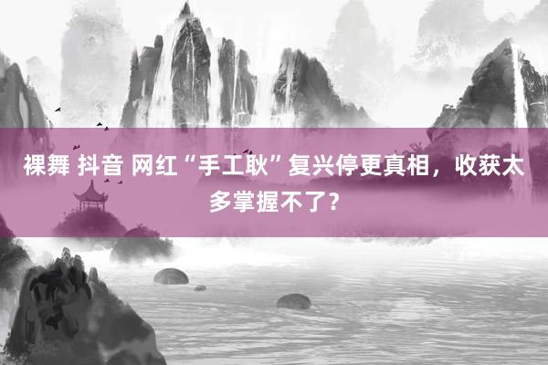 裸舞 抖音 网红“手工耿”复兴停更真相，收获太多掌握不了？