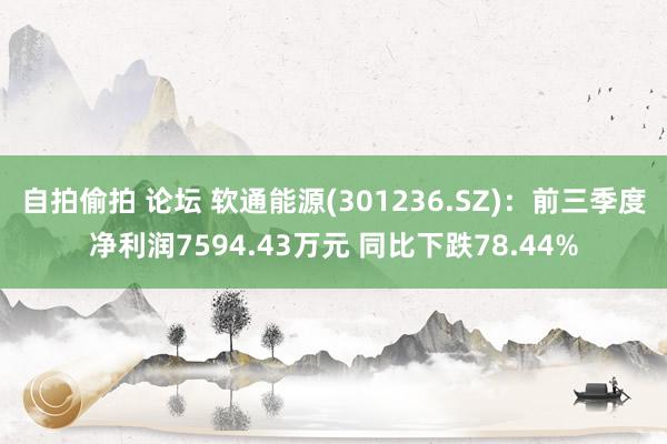 自拍偷拍 论坛 软通能源(301236.SZ)：前三季度净利润7594.43万元 同比下跌78.44%