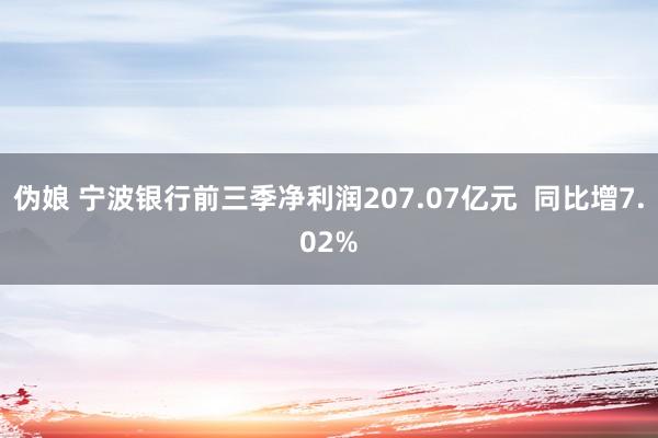 伪娘 宁波银行前三季净利润207.07亿元  同比增7.02%