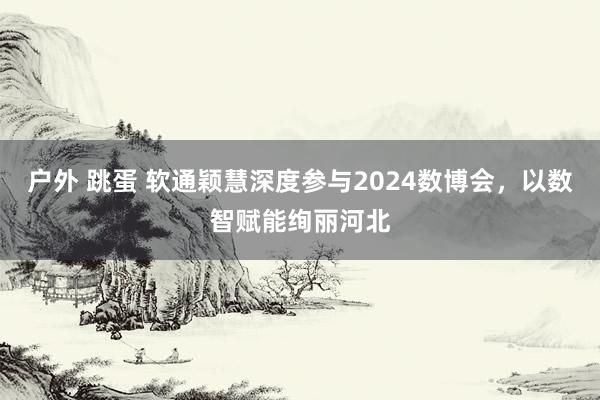 户外 跳蛋 软通颖慧深度参与2024数博会，以数智赋能绚丽河北