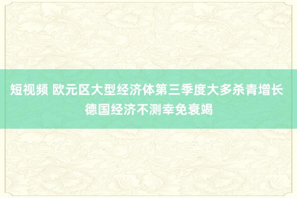 短视频 欧元区大型经济体第三季度大多杀青增长 德国经济不测幸免衰竭