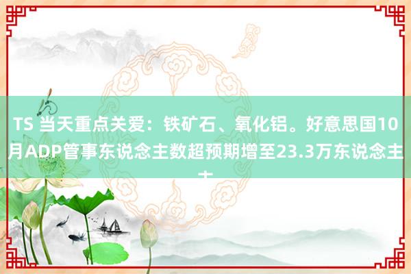 TS 当天重点关爱：铁矿石、氧化铝。好意思国10月ADP管事东说念主数超预期增至23.3万东说念主