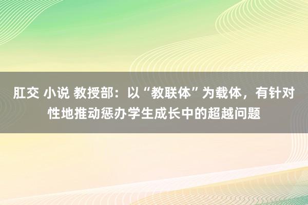 肛交 小说 教授部：以“教联体”为载体，有针对性地推动惩办学生成长中的超越问题