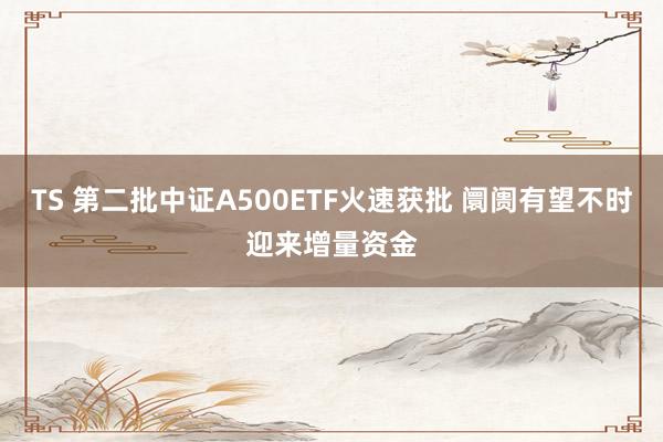 TS 第二批中证A500ETF火速获批 阛阓有望不时迎来增量资金