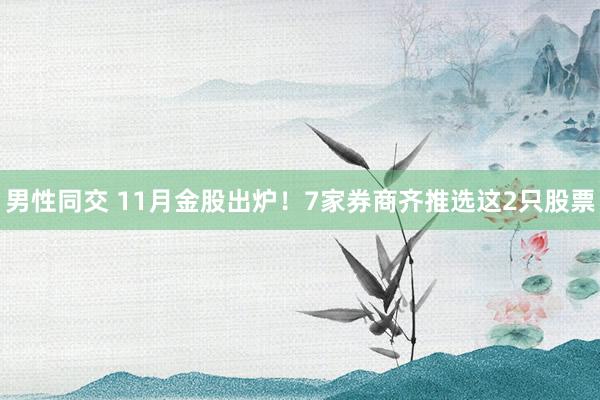 男性同交 11月金股出炉！7家券商齐推选这2只股票