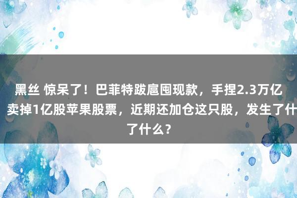 黑丝 惊呆了！巴菲特跋扈囤现款，手捏2.3万亿元，卖掉1亿股苹果股票，近期还加仓这只股，发生了什么？