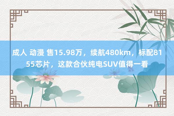 成人 动漫 售15.98万，续航480km，标配8155芯片，这款合伙纯电SUV值得一看