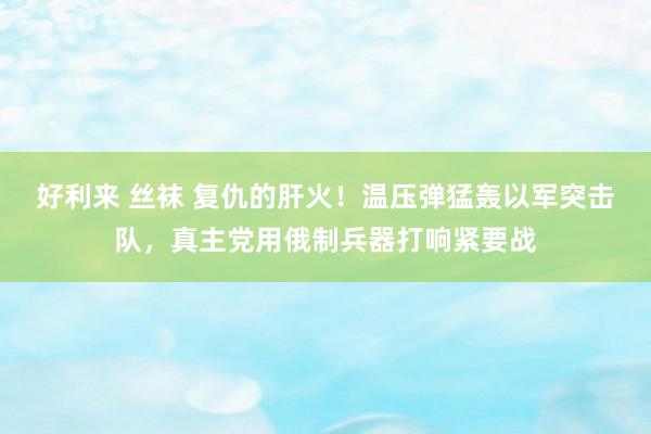 好利来 丝袜 复仇的肝火！温压弹猛轰以军突击队，真主党用俄制兵器打响紧要战