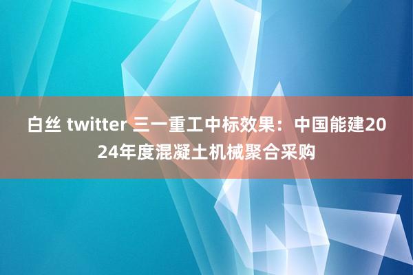 白丝 twitter 三一重工中标效果：中国能建2024年度混凝土机械聚合采购