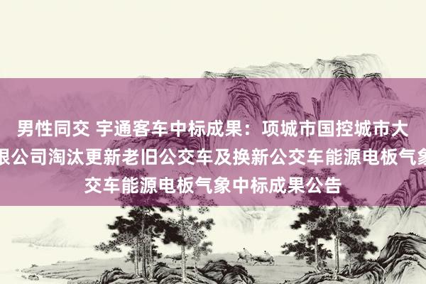 男性同交 宇通客车中标成果：项城市国控城市大家交通客运有限公司淘汰更新老旧公交车及换新公交车能源电板气象中标成果公告