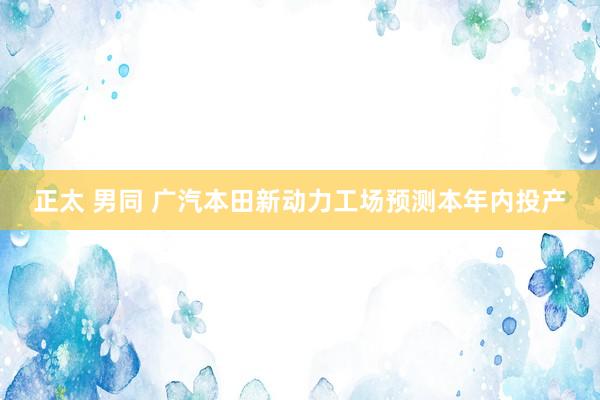 正太 男同 广汽本田新动力工场预测本年内投产