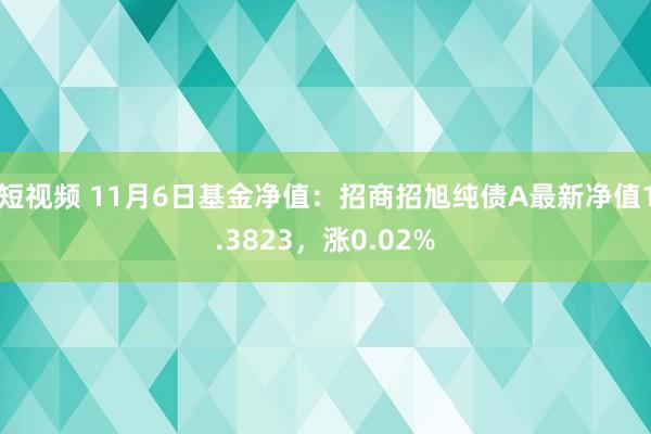 短视频 11月6日基金净值：招商招旭纯债A最新净值1.3823，涨0.02%