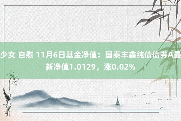 少女 自慰 11月6日基金净值：国泰丰鑫纯债债券A最新净值1.0129，涨0.02%