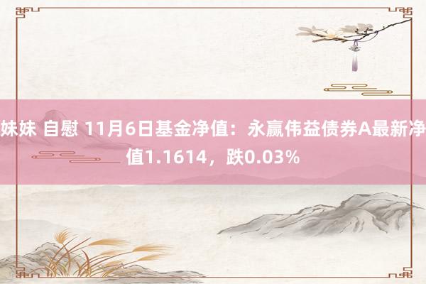 妹妹 自慰 11月6日基金净值：永赢伟益债券A最新净值1.1614，跌0.03%