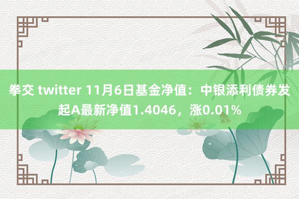 拳交 twitter 11月6日基金净值：中银添利债券发起A最新净值1.4046，涨0.01%