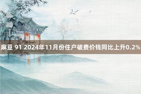 麻豆 91 2024年11月份住户破费价钱同比上升0.2%