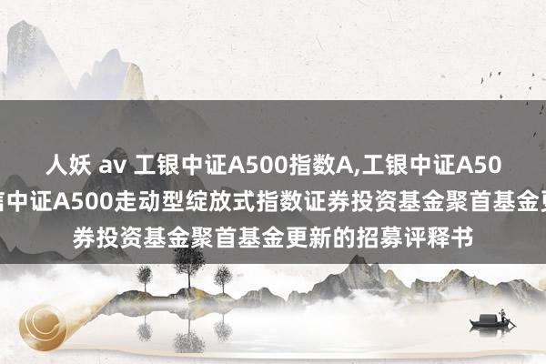 人妖 av 工银中证A500指数A，工银中证A500指数C: 工银瑞信中证A500走动型绽放式指数证券投资基金聚首基金更新的招募评释书