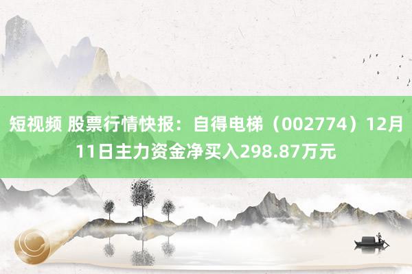 短视频 股票行情快报：自得电梯（002774）12月11日主力资金净买入298.87万元