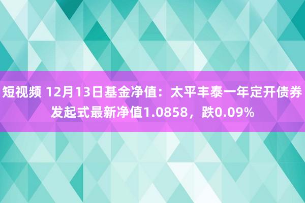 短视频 12月13日基金净值：太平丰泰一年定开债券发起式最新净值1.0858，跌0.09%