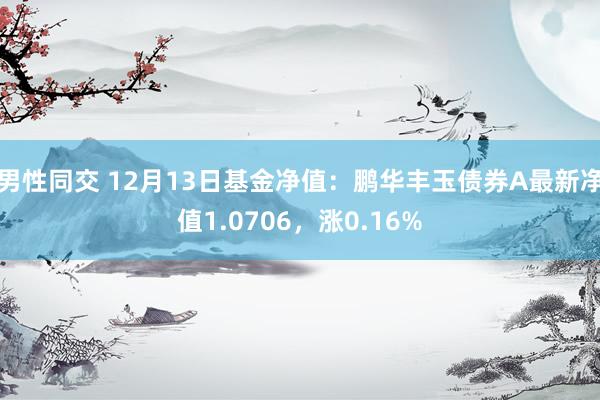 男性同交 12月13日基金净值：鹏华丰玉债券A最新净值1.0706，涨0.16%